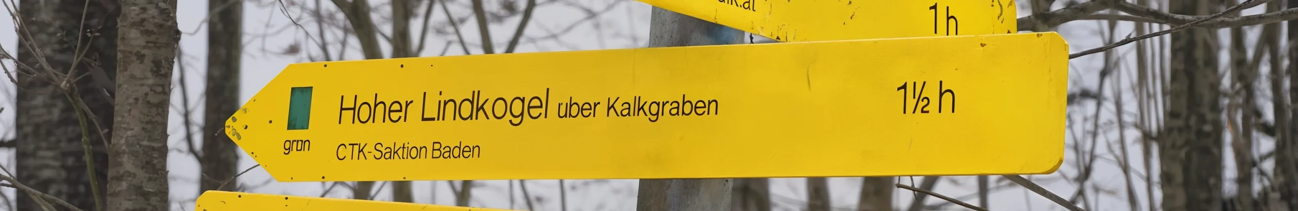 Tour: Lindkogel Trail Wanderung bei Baden bei Wien